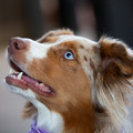 4D8A4091-2.jpg