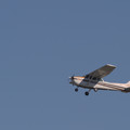 4D8A4536.jpg