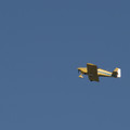 4D8A4540.jpg