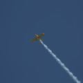 4D8A4561.jpg
