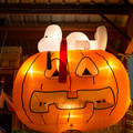 4D8A5064.jpg