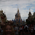 4D8A0763.jpg