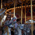 4D8A0909.jpg