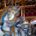 4D8A0910.jpg
