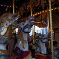 4D8A0916.jpg