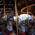 4D8A0919.jpg