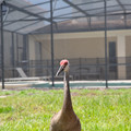 4D8A0996.jpg