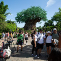 4D8A1060.jpg