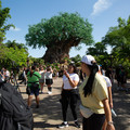 4D8A1061.jpg