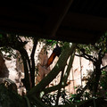 4D8A1085.jpg