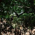 4D8A1086.jpg
