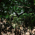 4D8A1087.jpg