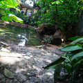 4D8A1100.jpg