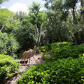 4D8A1118.jpg