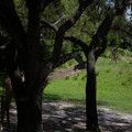 4D8A1126.jpg