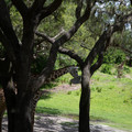 4D8A1127.jpg