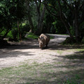 4D8A1139.jpg