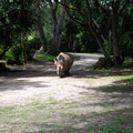 4D8A1140.jpg
