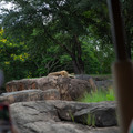 4D8A1145.jpg