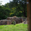 4D8A1146.jpg