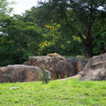 4D8A1147.jpg