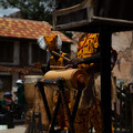 4D8A1161.jpg