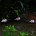 4D8A1178.jpg