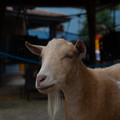 4D8A1184.jpg