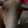 4D8A1189.jpg