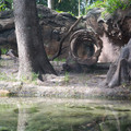 4D8A1199.jpg