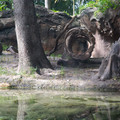 4D8A1200.jpg