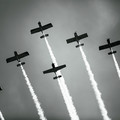 4D8A4769.jpg