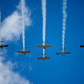 4D8A4775.jpg
