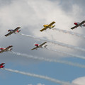 4D8A4798.jpg