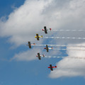 4D8A4802.jpg