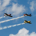 4D8A4811.jpg