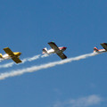 4D8A4827.jpg