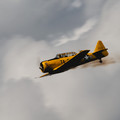 4D8A4871.jpg