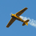 4D8A4884.jpg