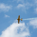 4D8A4888.jpg