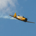 4D8A4893.jpg