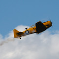 4D8A4899.jpg