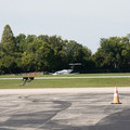 4D8A5121.jpg