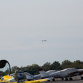 4D8A5167.jpg