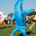 4D8A5220.jpg