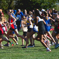 4D8A5239.jpg