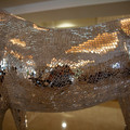 4D8A6456.jpg