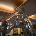 4D8A6457.jpg