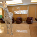4D8A6462.jpg