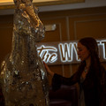 4D8A6536.jpg